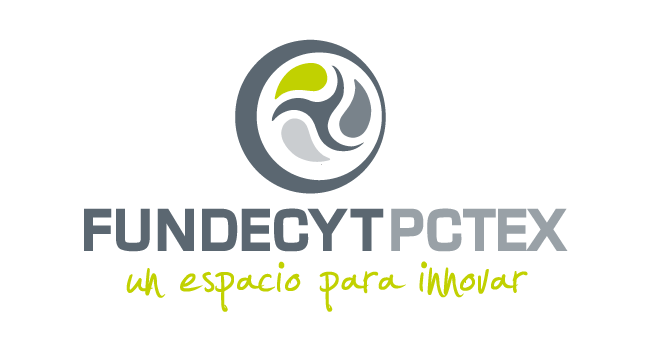 Logo Fundecyt 2013